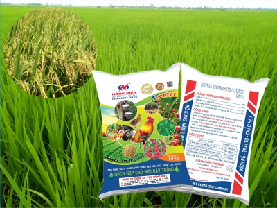 KỸ THUẬT BÓN PHÂN CHO LÚA GIEO SẠ