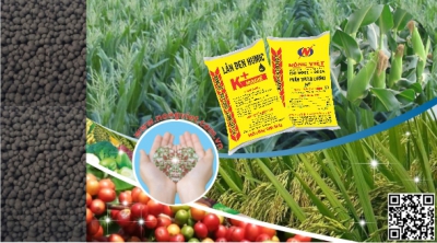 VAI TRÒ CỦA AXIT HUMIC ĐỐI VỚI CÂY TRỒNG