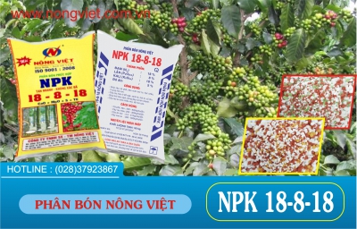 Bón phân hợp lý cho cây cà phê